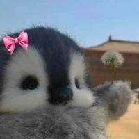 t/g🐼⚡🐑