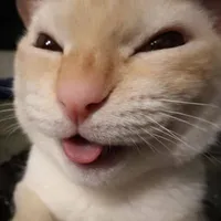 Paiki