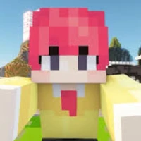 ST_ Hiha