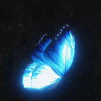 "Hệ thống 024"