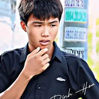 phạm đình hoà