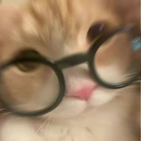 T/g ngu nger