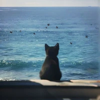 tớ là Tess t/g khờ khạo=)