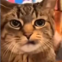 Zu_hệ thống nhiệm vụ Ngụy Anh