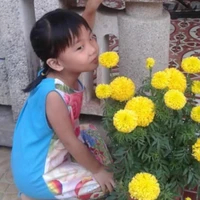 tẻn tẻn