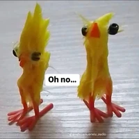 t/g