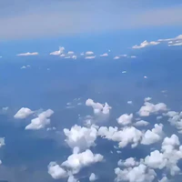 Cả 2