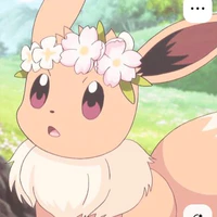 Eevui