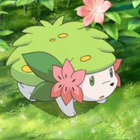 Shaymin