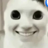 y/n