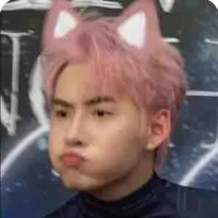 Huỳnh Hoàng Hùng(Gấu ,HH)