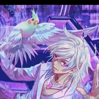 hiha hologram