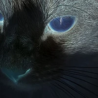 Nhân vật phụ 『Nam』