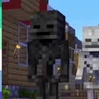 Wither skeleton[MXĐ]