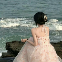 Ngọc Như - Chị gái anh