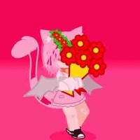 Pusi