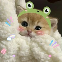 Ruka