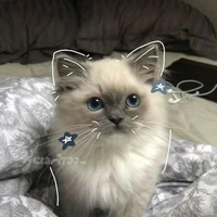 yuki