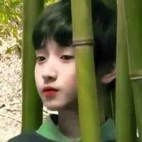 Nghiêm Hạo Tường 