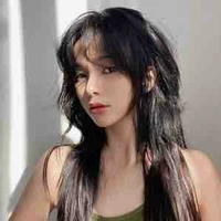 Limfeng