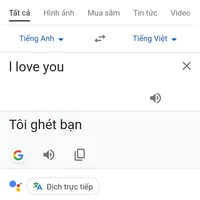 cả 2