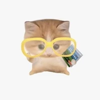 Sáng thức tối ngủ