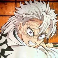 Shinazugawa Sanemi