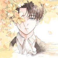 Levi Ackerman
