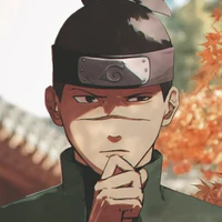 iruka 