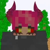 hiha veil