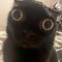 đa nhân vật phụ nữ