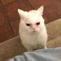 ？？？