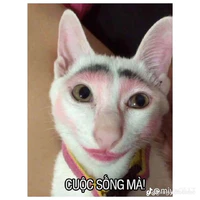 yêu mỗi DC_tác giả