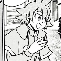 Bars Robin