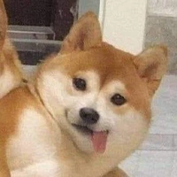 Cha