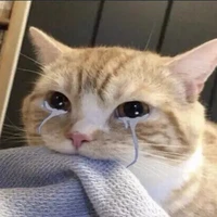 con tác giả báo nè