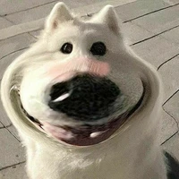 tác giả đáng yêu