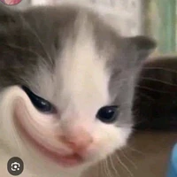 t/g