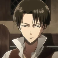 Levi ( thỏ)