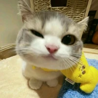 Hân(bn thân t/g)