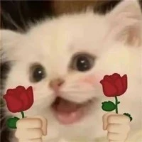 all