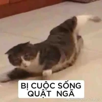 T/g