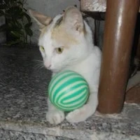 Tác giả đẹp zai nhất thời đại