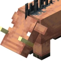 hoglins