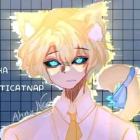hiha anti catnap