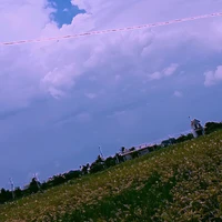 All : bỏ ai thì bỏ