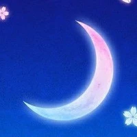 Mọi người có mặt