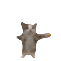 TG