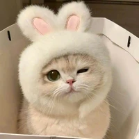 Mồn Lèo