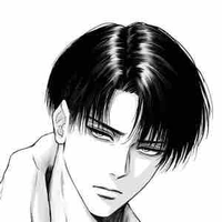 Ackerman Levi
